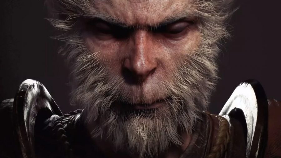 Black Myth Wukong: a monkey can be seen
