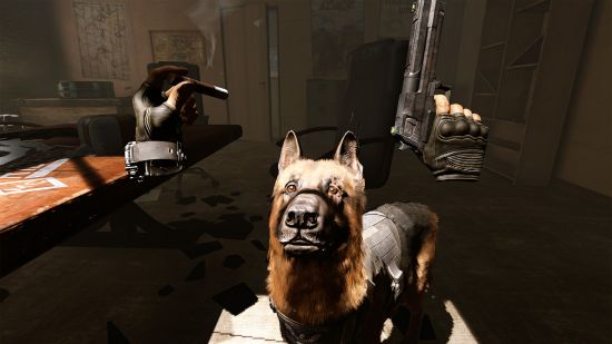 Best PSVR 2 games: a cute dog look at its owner who is holding a gun